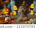 Poodle Dog Dressed for Halloween 131073793
