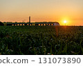 Passengers train traveling at sunrise through agricultural fields in Germany 131073890