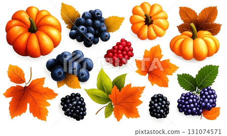 Vibrant Collection of Pumpkins, Berries, and Colorful Leaves for Autumn Decor Vibrant Collection of Pumpkins, Berries, and Colorful Leaves for Autumn Decor 131074571