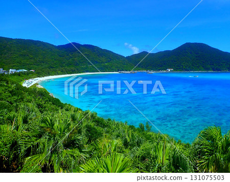 Aharen Beach, Tokashiki Island, Okinawa 131075503