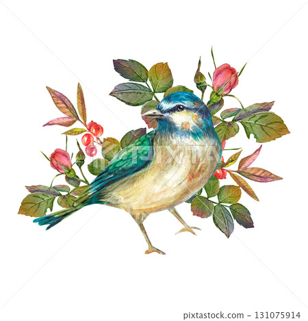 Titmouse bird standing on branch with green leaves and red rose hips. Watercolor illustration animal. Suitable for postcards, botanical design, posters, stickers, invitations, educational materials. 131075914