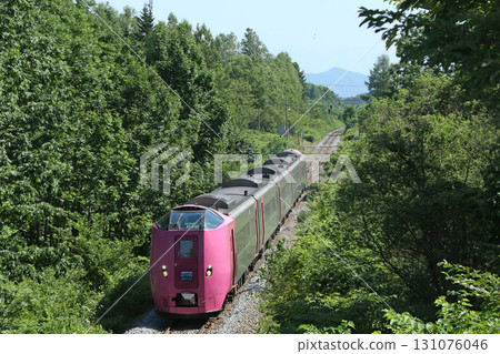 Kiha 261系列Hamanasu編隊Hamanasu編隊特快Sarobetsu Kiha 261系列Hamanasu編隊Hamanasu編隊特快Sarobetsu 131076046