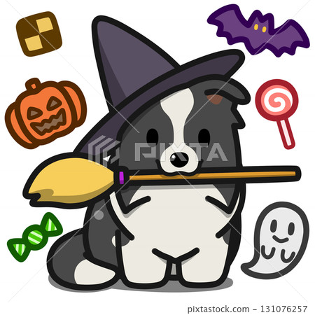 穿著萬聖節服裝的黑白邊境牧羊犬 131076257