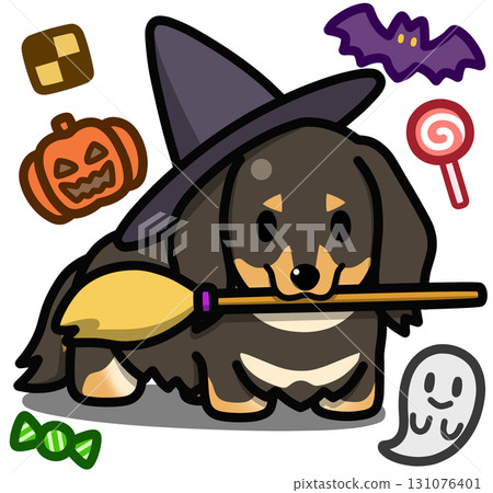 Black and tan miniature dachshund in Halloween costume 131076401