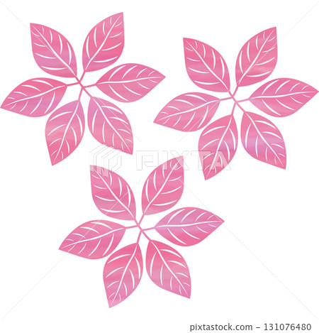 美麗的水彩葉子圖示圖像的插圖 美麗的水彩葉子圖示圖像的插圖 131076480
