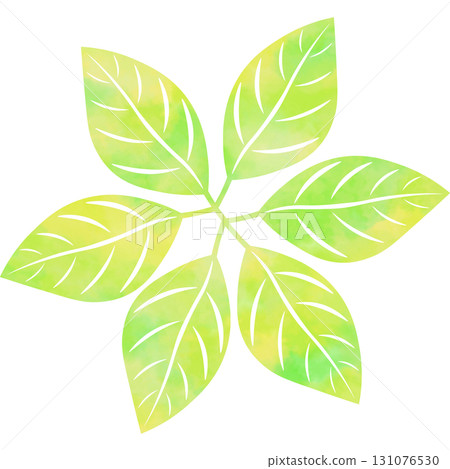 Beautiful watercolor leaf icon image illustration Beautiful watercolor leaf icon image illustration 131076530