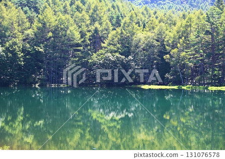 長野縣夏日清晨的米沙卡池塘 長野縣夏日清晨的米沙卡池塘 131076578