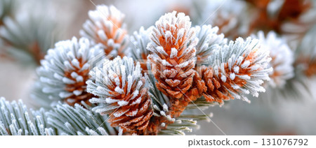 Frosted pine cones on snowy branch create serene winter scene, evoking magic of Christmas and beauty of nature in winter 131076792