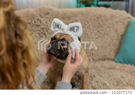 Hand wiping pug dog face with soft wet tissue on sofa, gentle cleaning care with calm relaxed pet 131077173