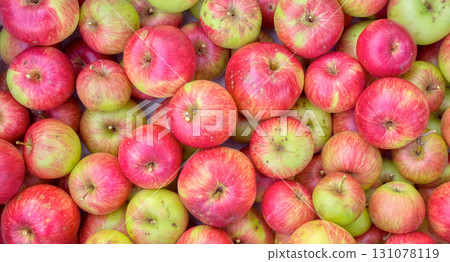 Photo of fresh organic apples. Photo of fresh organic apples. 131078119