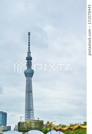 Golden Dragon Dance at the Matsuchiyama Opening Ceremony and the Shoden Festival Special Commemorative Festival, Tokyo Golden Dragon Dance at the Matsuchiyama Opening Ceremony and the Shoden Festival Special Commemorative Festival, Tokyo 131078445