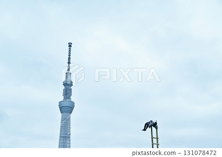 Matsuchiyama Opening Ceremony, Shoden Festival Special Commemorative Festival Ladder Climbing, Tokyo 131078472
