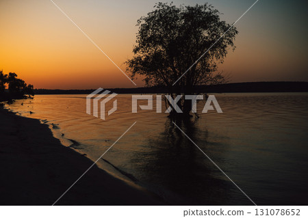 Sunset over the lake with a silhouette of a tree. A stunning sunset bathes the pond, river in warm colors, with a single lonely tree 131078652