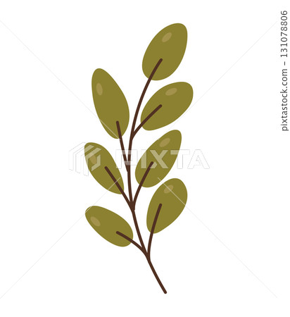 Elegant green branch with leaves minimalist botanical illustration for packaging, fabric, wall art, stationery and modern design projects Elegant green branch with leaves minimalist botanical illustration for packaging, fabric, wall art, stationery and modern design projects 131078806