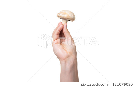champignon vegetable in hand isolated on white background 131079050