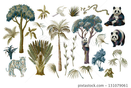 Detailed Isolated Panda Trio Surrounded by Tropical Jungle Foliage Plants Vector Illustration Detailed Isolated Panda Trio Surrounded by Tropical Jungle Foliage Plants Vector Illustration 131079061