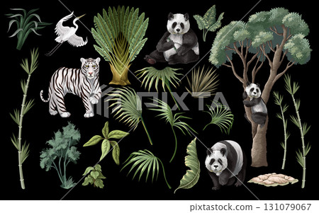 Detailed Isolated Panda Trio Surrounded by Tropical Jungle Foliage Plants Vector Illustration Detailed Isolated Panda Trio Surrounded by Tropical Jungle Foliage Plants Vector Illustration 131079067