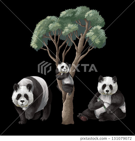 Detailed Isolated Panda Trio Surrounded by Tropical Jungle Foliage Plants Vector Illustration 131079072