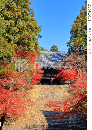 [京都府] 高尾山神護寺（近藤）參道上的紅葉 131079097