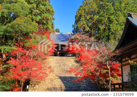 [京都府] 高尾山神護寺（近藤）參道上的紅葉 131079099