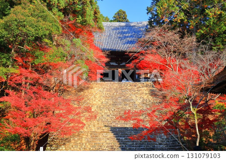 [京都府] 高尾山神護寺（近藤）參道上的紅葉 131079103