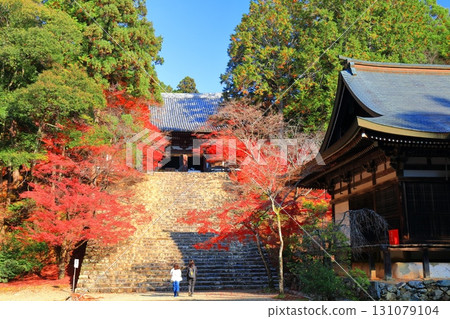 [京都府] 高尾山神護寺（近藤）參道上的紅葉 131079104