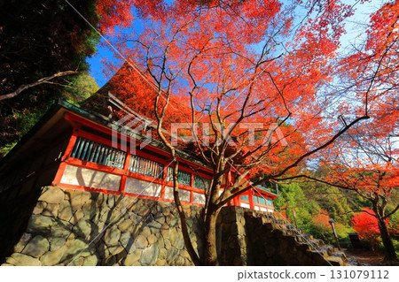 [Kyoto Prefecture] Autumn leaves on the approach to Jingoji Temple, Mount Takao (Tahoto Pagoda) 131079112