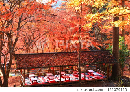 [Kyoto Prefecture] Autumn leaves on the approach to Jingoji Temple, Mount Takao 131079113