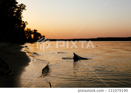 Sunset over a calm lake with the shore in silhouette. A serene sunset casts golden and orange hues over a tranquil lake, the silhouette of the shore Sunset over a calm lake with the shore in silhouette. A serene sunset casts golden and orange hues over a tranquil lake, the silhouette of the shore 131079190