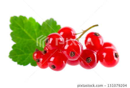 Red currant isolated on white background. Redcurrant or Ribes rubrum ripe berries with green leaves. 131079204