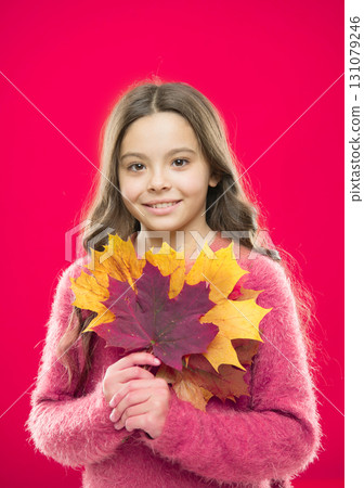 Feel the beauty of nature. autumn kid fashion. Weather change. happy small girl with maple leaf. school time. childhood happiness. fall season. fallen leaves bunch. girl child in sweater. Autumn mood Feel the beauty of nature. autumn kid fashion. Weather change. happy small girl with maple leaf. school time. childhood happiness. fall season. fallen leaves bunch. girl child in sweater. Autumn mood 131079246