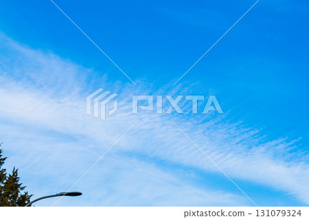 Background photo of sky with spreading streaks of white aerosol sprays from airplanes, look like clouds. In foreground are tops of street lamp and tree. Environmental Change and Precipitation Program Background photo of sky with spreading streaks of white aerosol sprays from airplanes, look like clouds. In foreground are tops of street lamp and tree. Environmental Change and Precipitation Program 131079324
