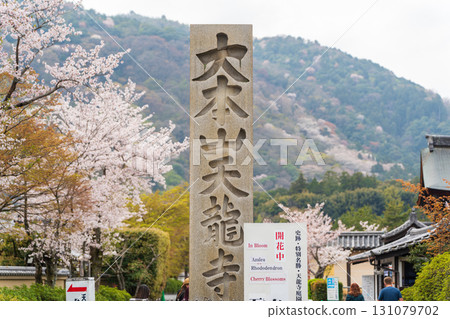 Stone monument and cherry blossoms in full bloom at the entrance to Tenryu-ji Temple in Kyoto Stone monument and cherry blossoms in full bloom at the entrance to Tenryu-ji Temple in Kyoto 131079702