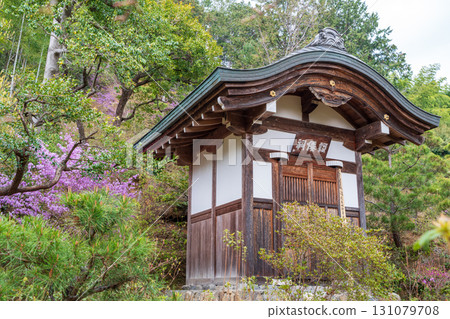 The grounds of Jojakkoji Temple in Kyoto in spring 131079708