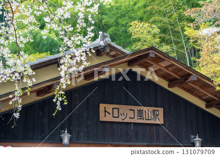 春季：Torocco嵐山站櫻花盛開 131079709