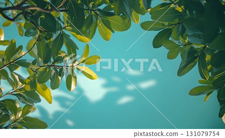Lush Green Leaves Against a Bright Blue Sky with Shadow Play 131079754