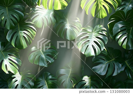 Lush Green Monstera Leaves with Dramatic Light and Shadow Play 131080003