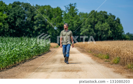 Agricultural cornfield harvest season. Farming advertisement. Man harvesting at crop field. Harvest man at field. Faming and agriculture. Farmer man in cornfield. Harvest crop. Field worker Agricultural cornfield harvest season. Farming advertisement. Man harvesting at crop field. Harvest man at field. Faming and agriculture. Farmer man in cornfield. Harvest crop. Field worker 131080203