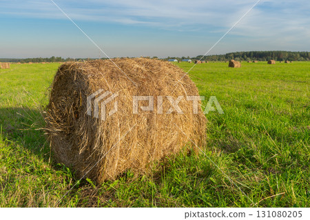 Beautiful view of agricultural field with hay bale, haystack. Harvest time 131080205