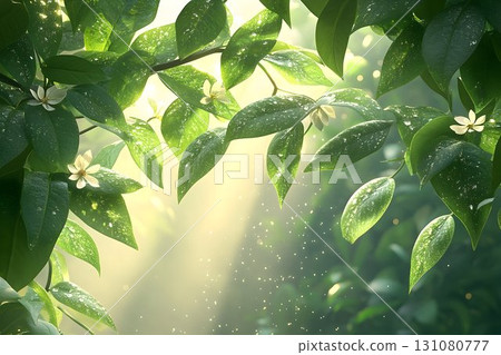Sunlit foliage with delicate white flowers and ethereal bokeh in 131080777
