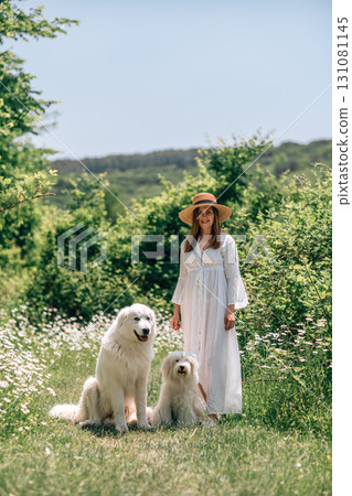 Dogs Woman Summer: Woman in summer dress with dogs in meadow, daytime outdoor sunny countryside landscape. 131081145