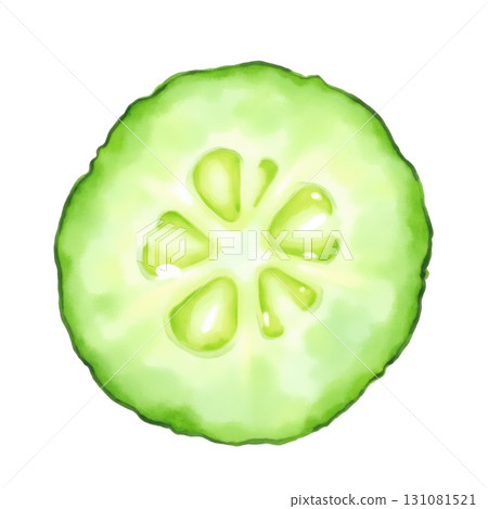 Fresh Cucumber Slice Watercolor Style Illustration Healthy Green Vegetable Fresh Cucumber Slice Watercolor Style Illustration Healthy Green Vegetable 131081521