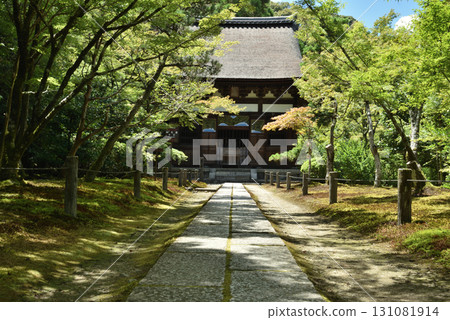 週庵一休寺的夏天:通往正殿的參道(京都府京田邊市) 週庵一休寺的夏天:通往正殿的參道(京都府京田邊市) 131081914