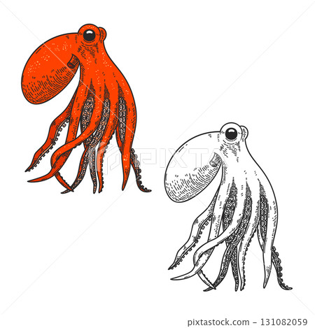 Illustration of octopus in engraving style. Design element for poster, card, banner, sign 131082059