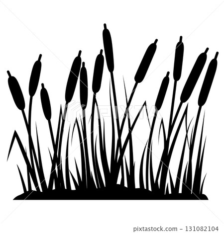 Reed silhouettes on white background. Vector illustration Reed silhouettes on white background. Vector illustration 131082104