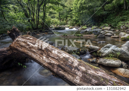 A clear mountain stream in Oku-Aizu surrounded by greenery A clear mountain stream in Oku-Aizu surrounded by greenery 131082942
