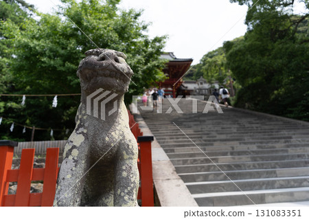 Tsurugaoka Hachimangu Shrine stone steps and lion dogs Tsurugaoka Hachimangu Shrine stone steps and lion dogs 131083351