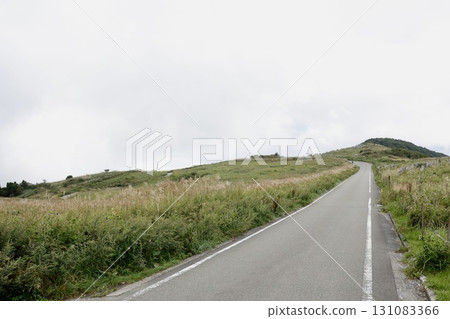 Autumn: A road leading from Tengu Highlands in the Shikoku Karst to Himezuru-daira, with Japanese pampas grass. Mid-September. 131083366