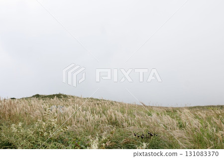 秋季(九月中旬)的四國喀斯特。從天狗高原停車場望去,芒草正在生長。 秋季(九月中旬)的四國喀斯特。從天狗高原停車場望去,芒草正在生長。 131083370