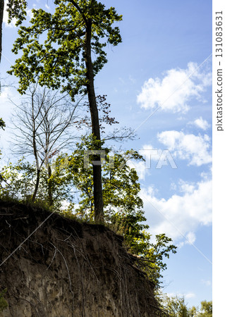 Dramatic cliffside scene showcasing exposed roots, lush trees, and a blue sky. The photograph depicts a picturesque scene of a cliffside with trees and visible roots, set against a cloudy sky. Dramatic cliffside scene showcasing exposed roots, lush trees, and a blue sky. The photograph depicts a picturesque scene of a cliffside with trees and visible roots, set against a cloudy sky. 131083631